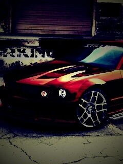 Форд Мустанг обои