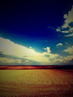 Незасеянное поле обои