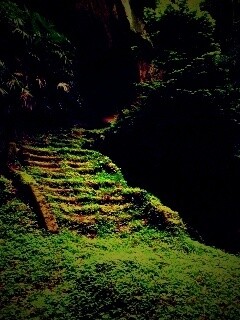 Старинный лесной храм обои