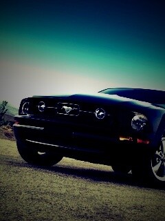 Форд Мустанг обои