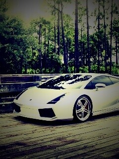 Ламбоджини на мосту в лесу обои