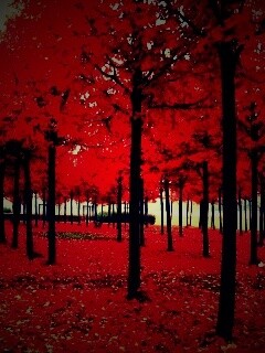 Скачать бесплатно осень обои