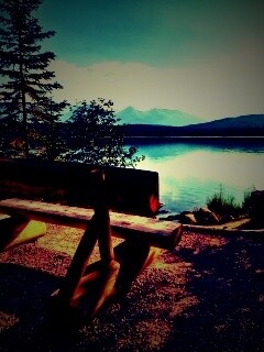 Деревянная скамья на берегу озера обои