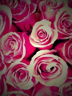 Букет роз обои