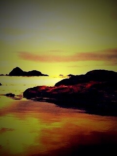 Золотое побережье обои