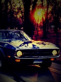 Мустанг обои