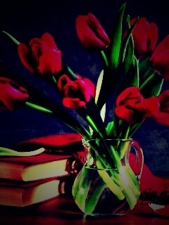 Букет красных тюльпанов обои
