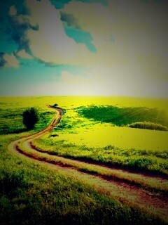 Дорога через луг обои