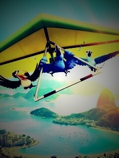 Герои мультфильма Рио обои