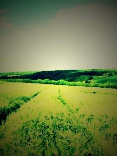 Бескрайние просторы обои