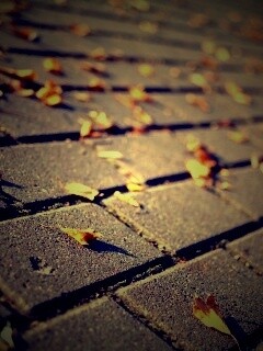 Тротуар обои