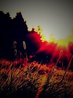 Красота природы обои