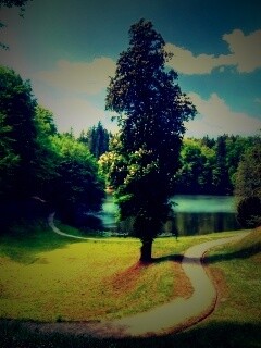 Прекрасная природа обои