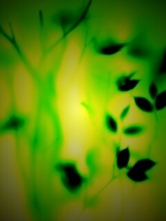 Зелень за стеклом обои