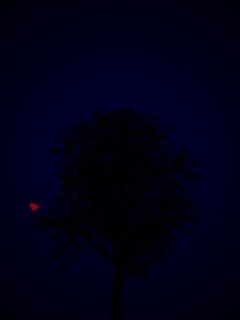 Дерево и птица обои