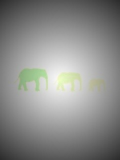 Вереница слонов обои