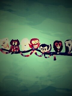 Совы на ветке обои