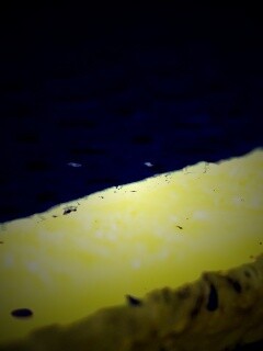 Ступенька обои