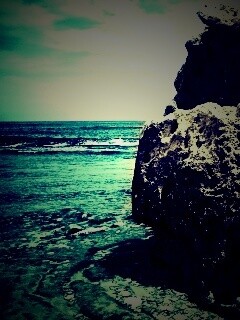 Коралловый риф обои