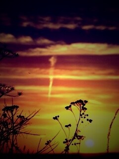 Степной закат обои