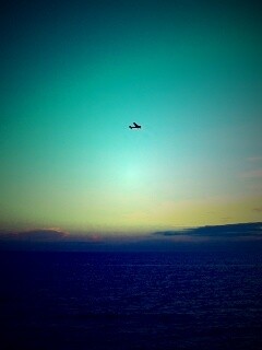 Паращий над морем обои