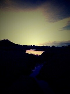 Канава и пруд обои