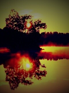 Туманное утро обои