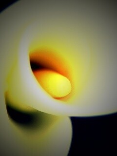 Спираль обои