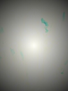 Белые лепестки обои