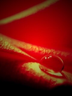 Капелька обои