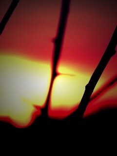 Закат солнца в поле обои