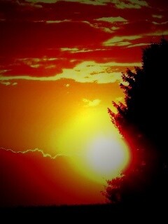 Теплый закат над полем обои