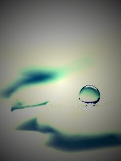 Капля на замёрзжем листе обои