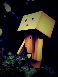 Danbo смотрит вверх обои