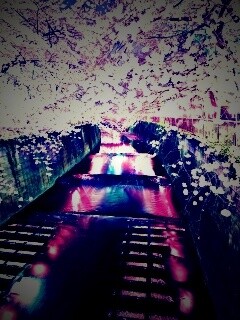 Река и цветение сакуры обои