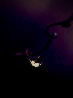 Одинокая капля обои