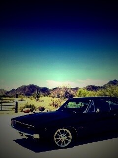 Мускулкар под палящим солнцем обои