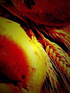 Свежие булочки обои