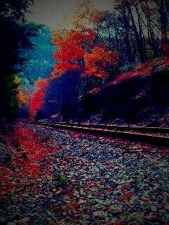 Железная дорога в скалистой местности обои