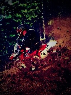 Моторалли обои