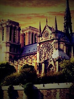 Собор парижской Богоматери обои