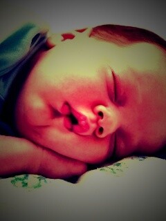 Спящая прелесть обои