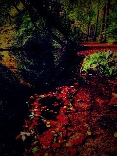 Пейзаж обои