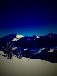 Лес в горах обои