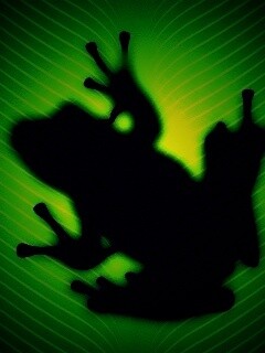 Силуэт лягушки просвечивает сквозь зеленый лист обои