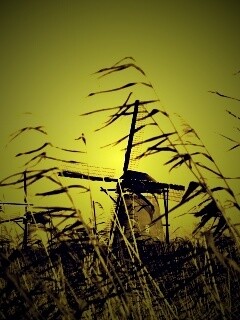 Мельницы обои