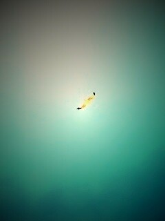 Полет  обои