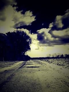 Дорога через поле обои