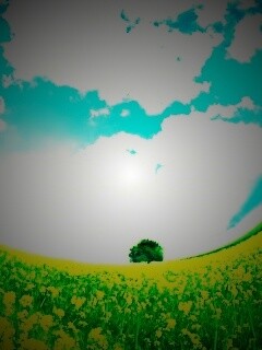 Искаженный мир обои