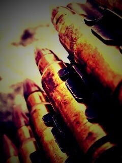 Патронник обои